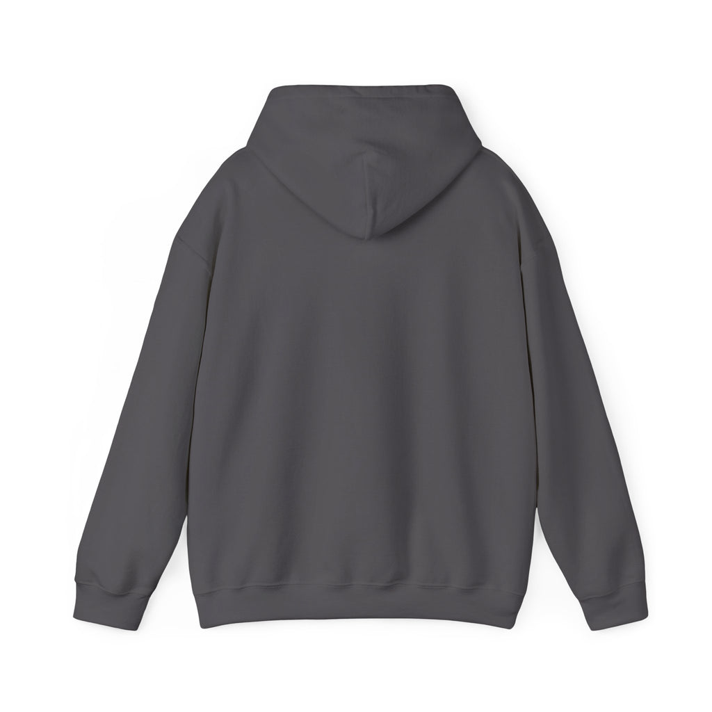 "Caffeinated Always Flying Pig" Style One, Hoodie by The Coffee Veteran